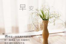 经观社论｜DeepS