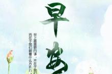 财政部：加力