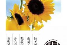 Meta将在下周起进行全公司范围的裁